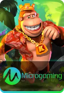 Micro Gaming